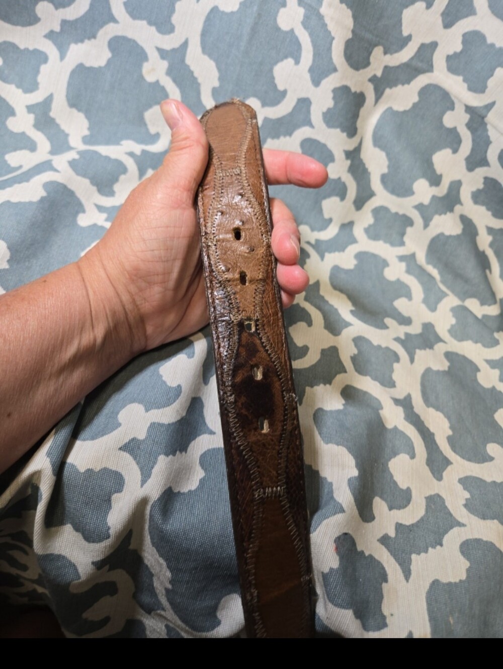 NWT NOCONA WESTERN COWBOY OSTRICH BELT SZ 34 RODEO - Picture 4 of 8